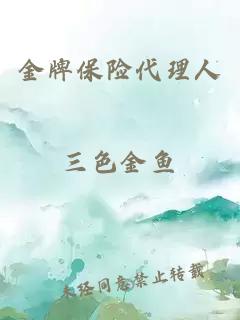 金牌保险代理人