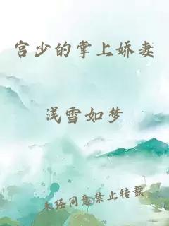 宫少的掌上娇妻